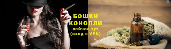 крисы Белокуриха