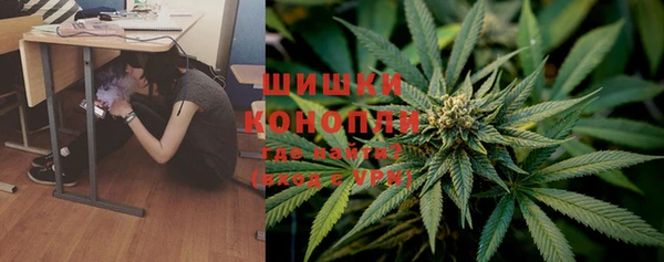 крисы Белокуриха