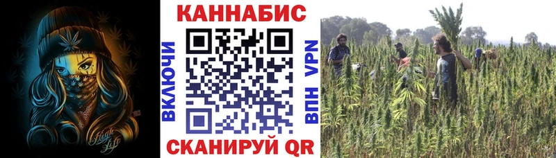 Конопля Bruce Banner  где купить наркотик  Энем 